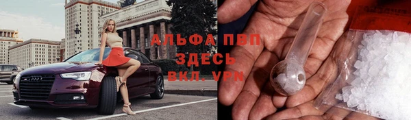мдпв Горно-Алтайск