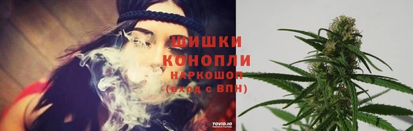 мдпв Горно-Алтайск