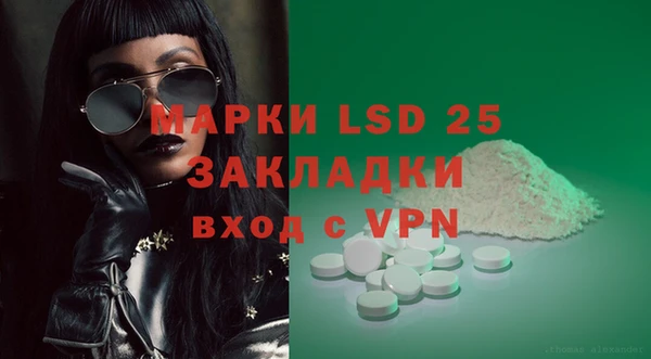 прущие грибы Горнозаводск
