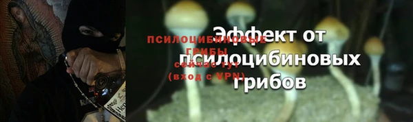 тгк Горняк