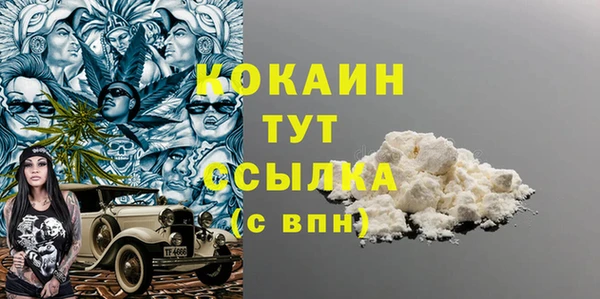 тгк Горняк