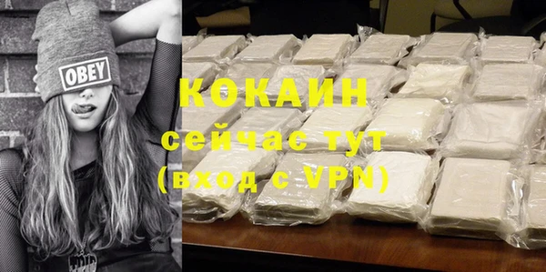прущие грибы Горнозаводск