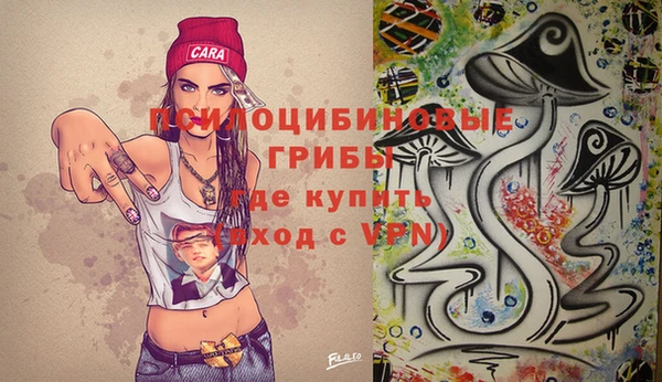 мдпв Горно-Алтайск