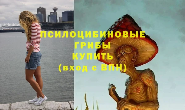 мдпв Горно-Алтайск